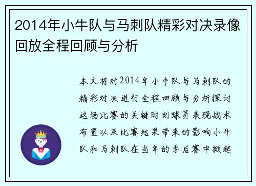 2014年小牛队与马刺队精彩对决录像回放全程回顾与分析