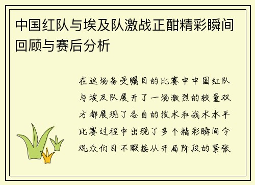 中国红队与埃及队激战正酣精彩瞬间回顾与赛后分析